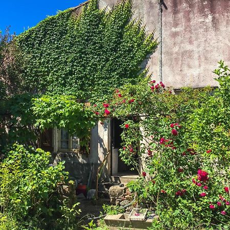 Le Mas Du Figuier, Maison De Vacances Le Bousquet-d'Orb Extérieur photo