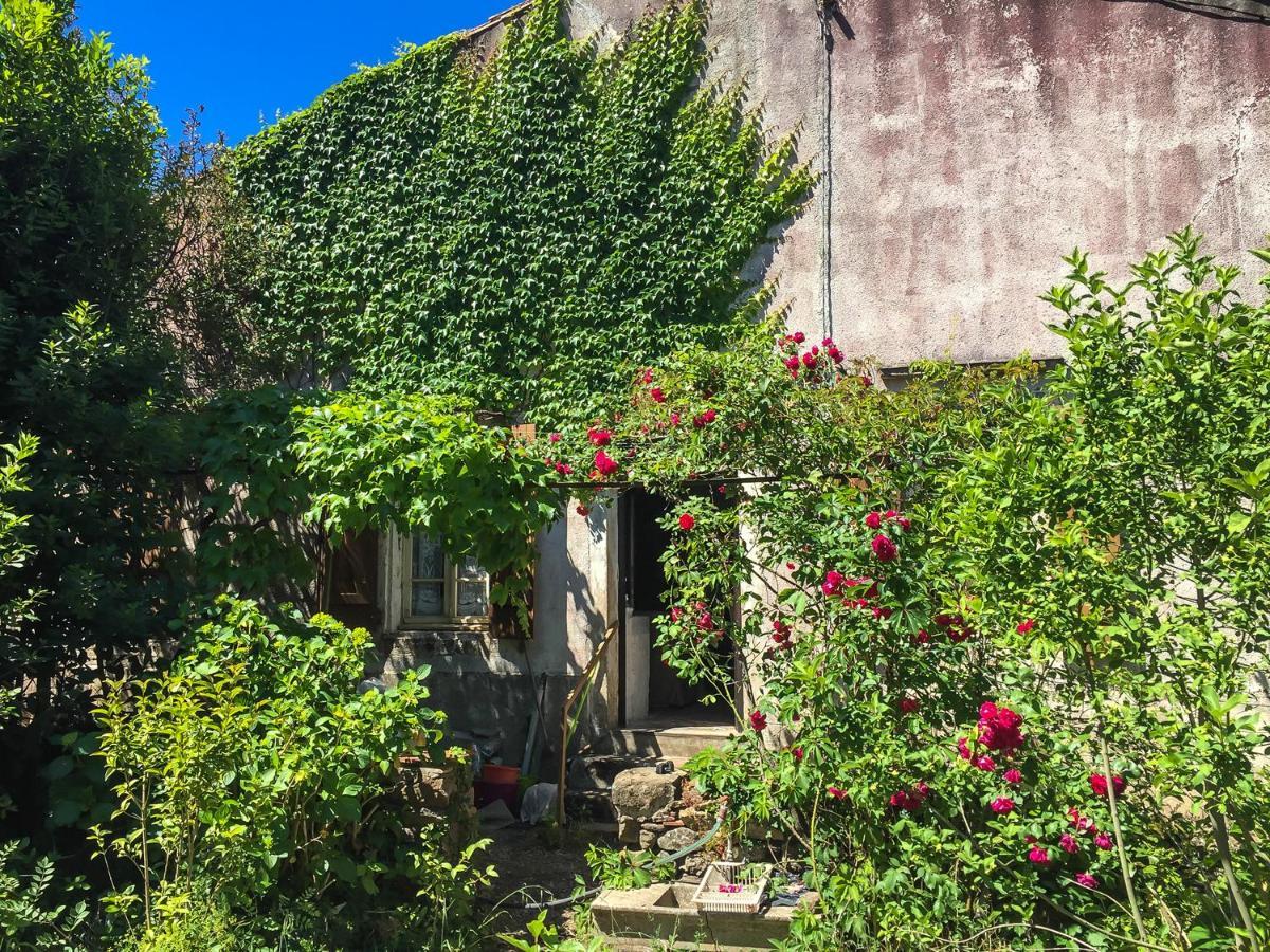 Le Mas Du Figuier, Maison De Vacances Le Bousquet-d'Orb Extérieur photo
