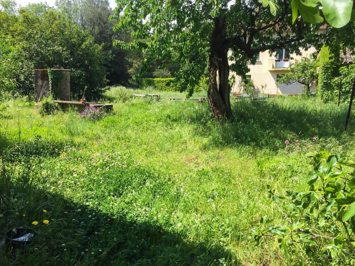 Le Mas Du Figuier, Maison De Vacances Le Bousquet-d'Orb Extérieur photo