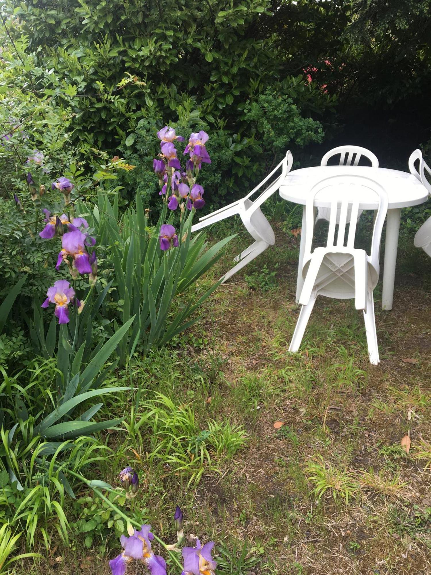 Le Mas Du Figuier, Maison De Vacances Le Bousquet-d'Orb Extérieur photo